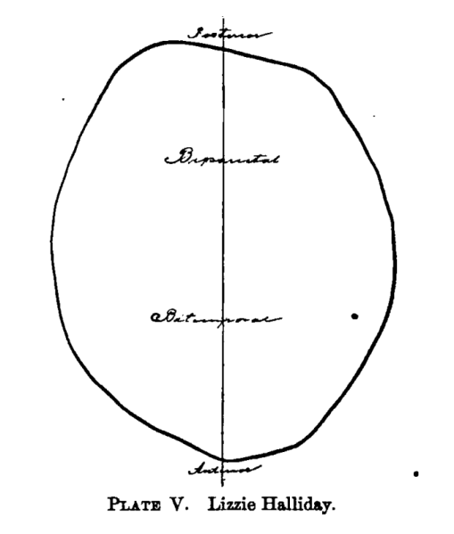 File:Lizzie Halliday Plate V.png